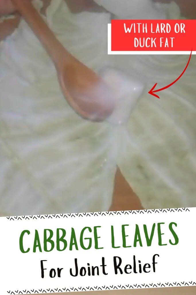 Cabbage Leaves For Joint Relief