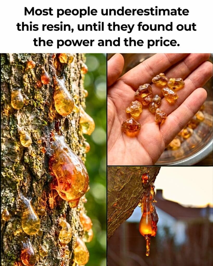 golden peach tree resin
