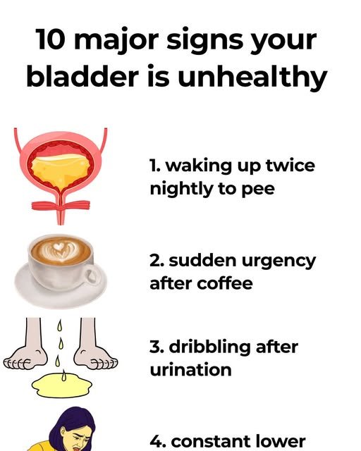 unhealthy bladder