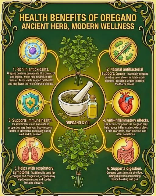 benefits of oregano