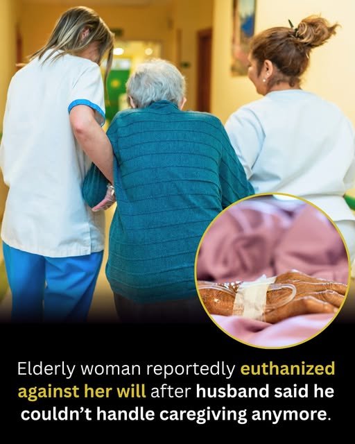 euthanized against her will