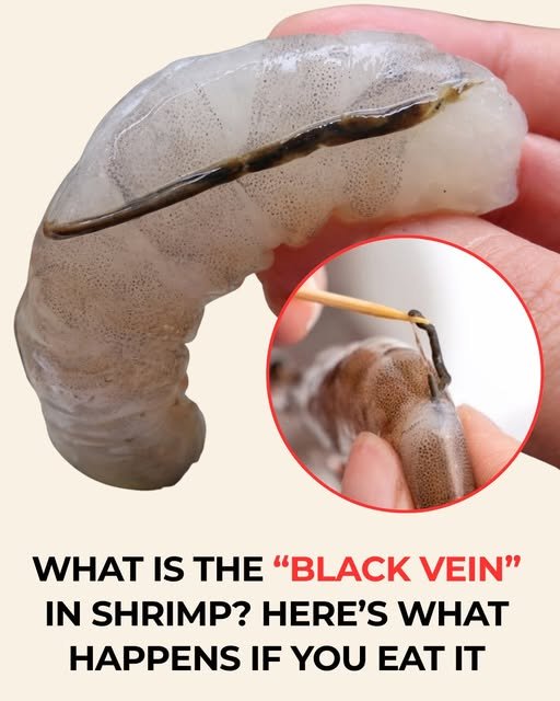 black line on the shrimp