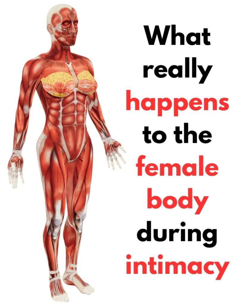 what happens to the female body after intimacy