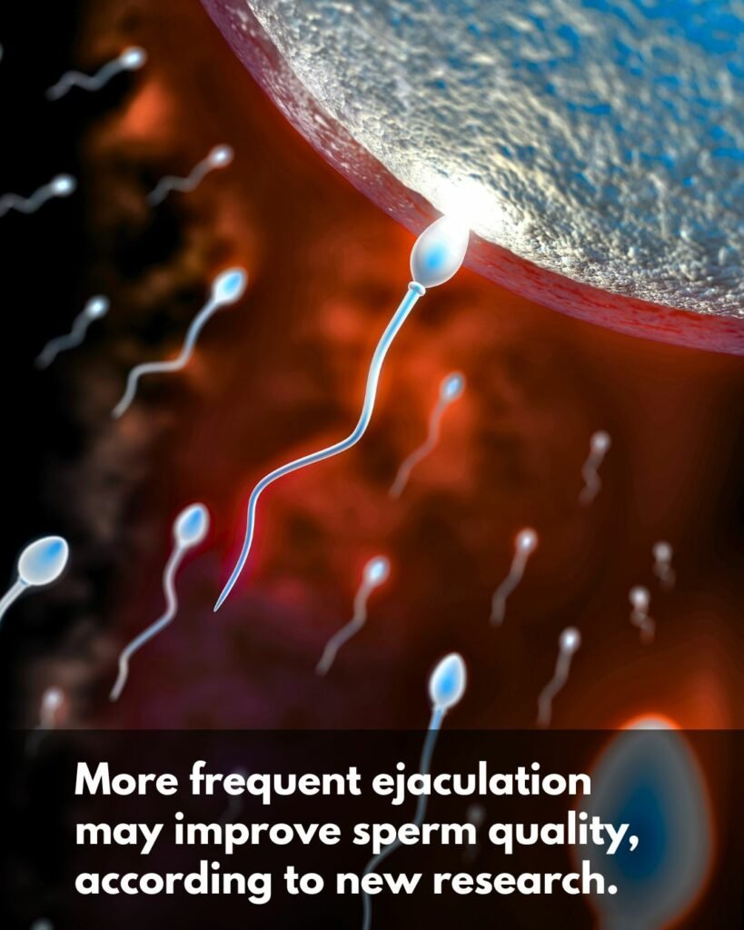 sperm quality